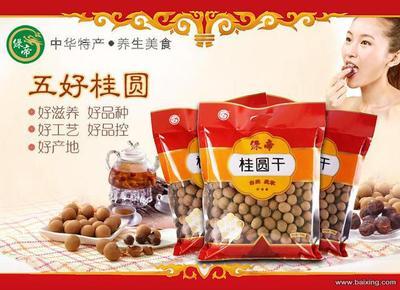 绿帝厂家推出2013年新货3A级莆田桂圆肉干 品质与营养的完美结合