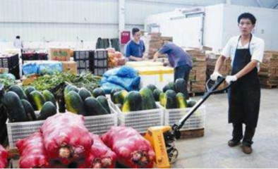 农产品配送中心 土特产流通的枢纽与建造指南