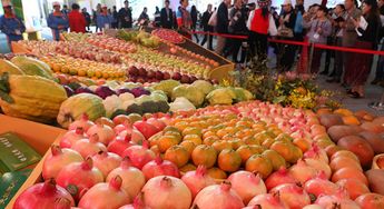 农产品预售系统技术赋能土特产 从田间到餐桌的智慧桥梁