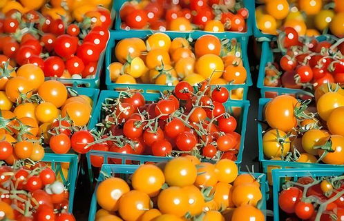 村村通冷链 构建土特产产销一体化生态集群，激活产业链新动能