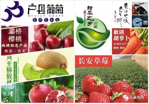 农产品上行“三步走” 打通从田间到餐桌的数字化通路